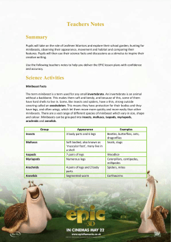 EPIC Competition - Win an EPIC garden for your school!