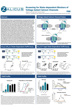 Screening for State-dependent Blockers of Voltage Gated Calcium