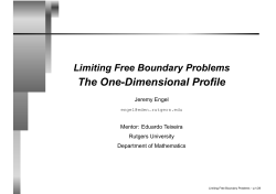 The One-Dimensional Profile - DIMACS REU