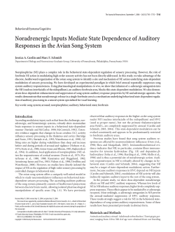 Noradrenergic Inputs Mediate State Dependence of Auditory