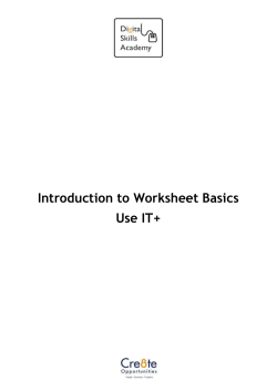 Introduction to Worksheet Basics Use IT+ Introduction