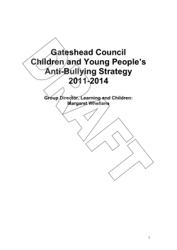 Anti-Bullying Strategy