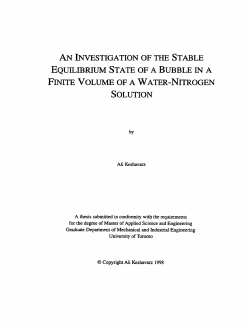 equilibrium state of a bubble in a