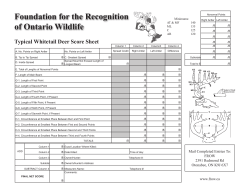 Foundation for the Recognition of Ontario Wildlife