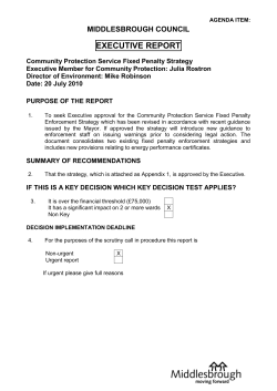 (Attachment: 21)Exec Report