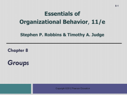 8: Foundations of Group Behavior