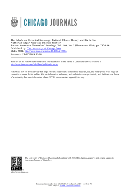 The Debate on Historical Sociology: Rational Choice Theory and Its