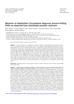 Behavior of dolphinfish \(Coryphaena hippurus\)