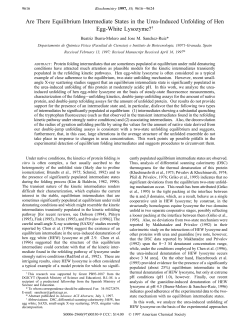 Are There Equilibrium Intermediate States in the Urea