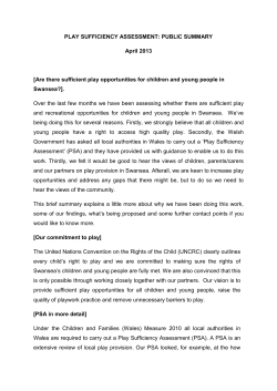 Play Sufficiency Assessment summary