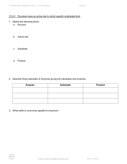 2. Molecular Biology (Core) – 2.5 Enzymes Name: 2.5.U1 Enzymes
