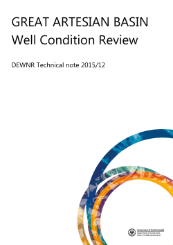 GREAT ARTESIAN BASIN Well Condition Review