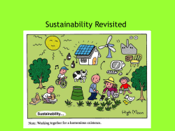 Sustainability Revisited