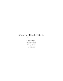 Marketing Plan for Micron Sarah Cardinal Michelle Darnell Brianne