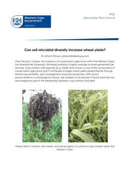 Can soil microbial diversity increase wheat yields?