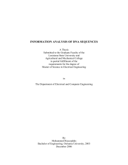 information analysis of dna sequences