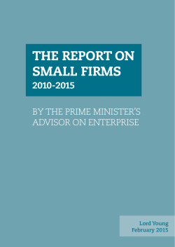 The Report on Small Firms 2010-2015