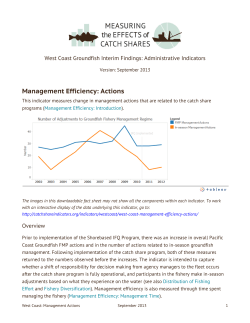 Management Efficiency: Actions
