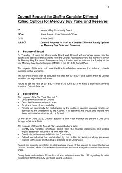 Council request for staff to consider different rating options fpr