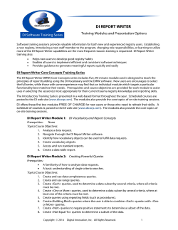 di report writer - Digital Innovation, Inc.