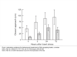 Laboratory evidence for behavioural impairment of fish escaping