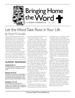 Let the Word Take Root in Your Life