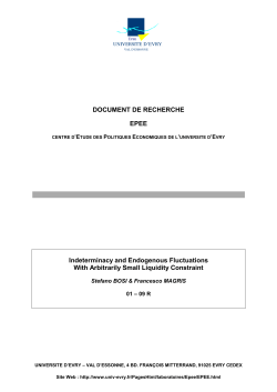 DOCUMENT DE RECHERCHE EPEE Indeterminacy and