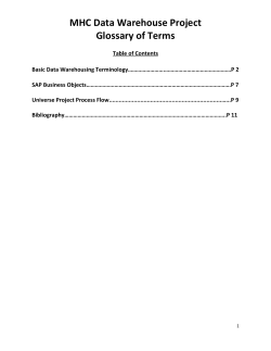 SAP Business Objects - Mount Holyoke College