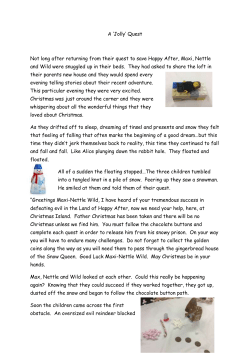 Merrylands quest story