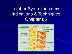 Lumbar Sympathectomy
