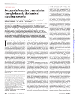 Accurate information transmission through dynamic biochemical