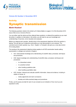 Synaptic transmission