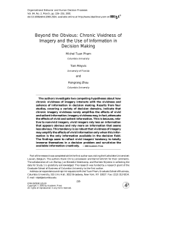 Beyond the Obvious: Chronic Vividness of Imagery and the Use of