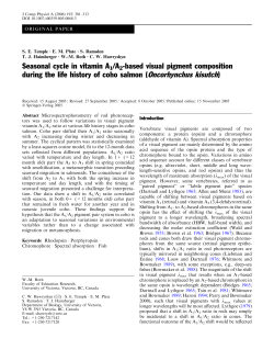 Seasonal cycle in vitamin A1/A2-based visual pigment