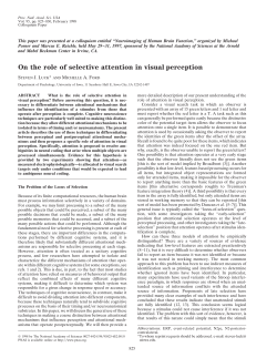 On the role of selective attention in visual perception