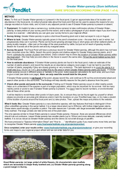 Greater Water-parsnip - Freshwater Habitats Trust
