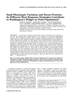 Snail phenotypic variation and stress proteins