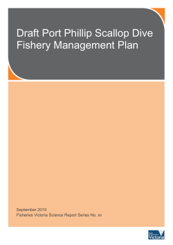 Draft Port Phillip Scallop Dive Fishery Management Plan [MS Word
