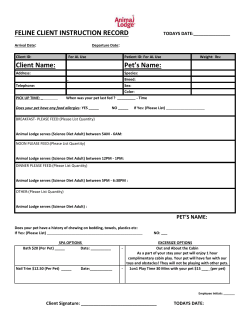 feline client instruction record