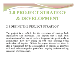2.1 DEFINE THE PROJECT STRATEGY