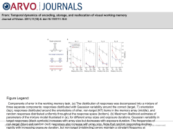 Slide - Journal of Vision