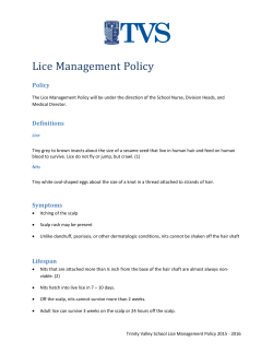 Head Lice Policy - Trinity Valley School