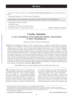 Cardiac Septation