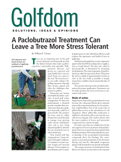 A Paclobutrazol Treatment Can Leave a Tree More