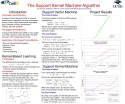 The Support Kernel Machine