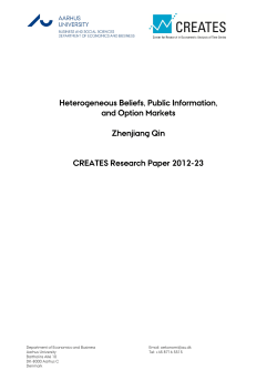 Heterogeneous Beliefs, Public Information, and Option Markets