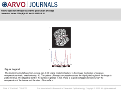 Slide - Journal of Vision