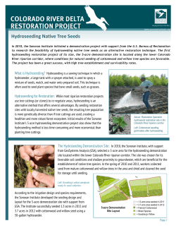 Hydroseeding Native Tree Seeds