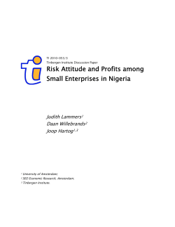 Risk Attitude and Profits among Small Enterprises in