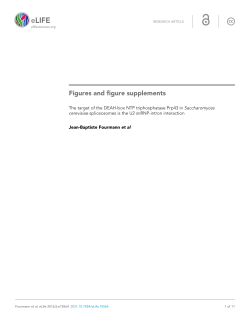 The target of the DEAH-box NTP triphosphatase Prp43 in